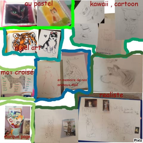 je dessine vos animaux :)