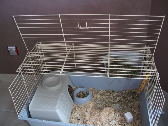 réduction cage cochon d'inde !!!!