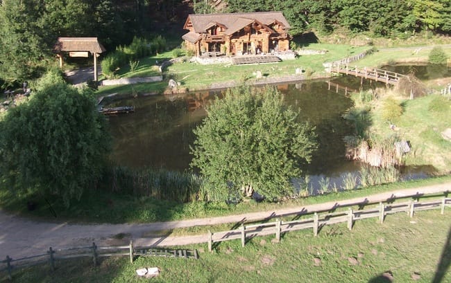 la petite ferme des petit et grand animaux