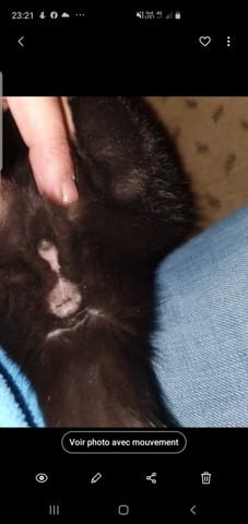 Mâle où femelle ??