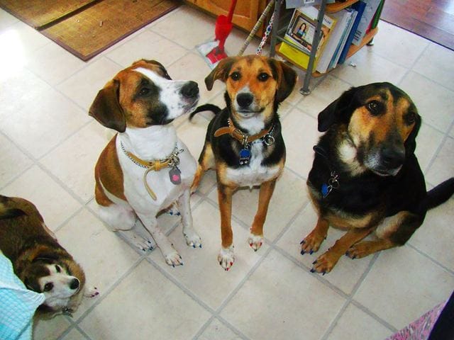 Coucou tout le monde!