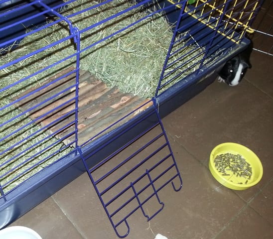 Probleme pour entrer et sortir de la cage