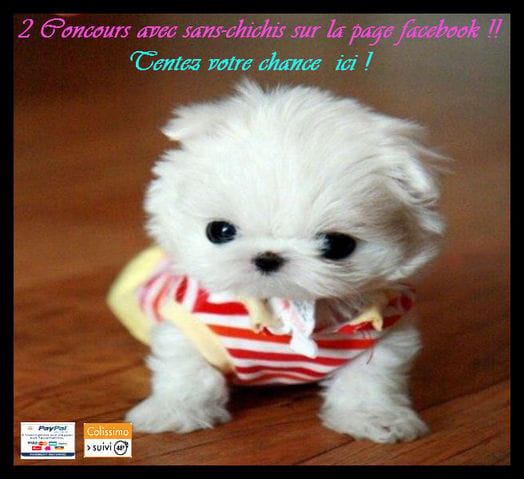 Concours photo pour vos loulous !!