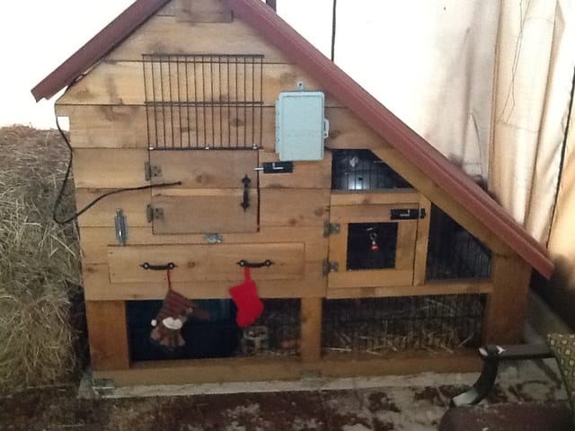 Cage lapin