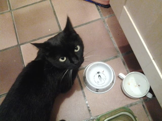 ♥♥ Ma Sauvageonne ♥