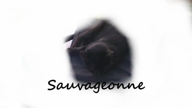 Créa's Sauvageonne =D