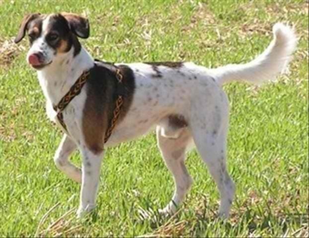 Première pour moi en famille d acceuil pour tara