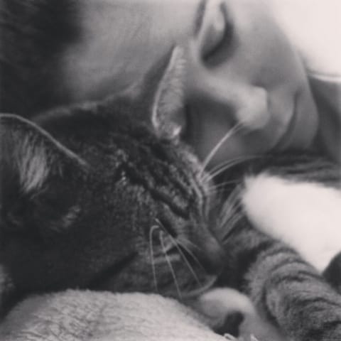 Chatte qui boitte et miaule urgence ?