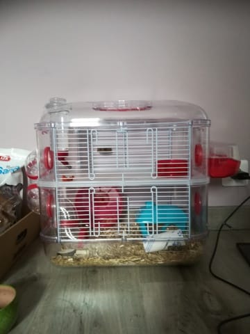 Création d'un parc ("bin cage") que je vais bientôt relier avec sa cage de base