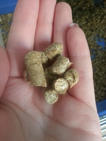 Litière de mon Waïki