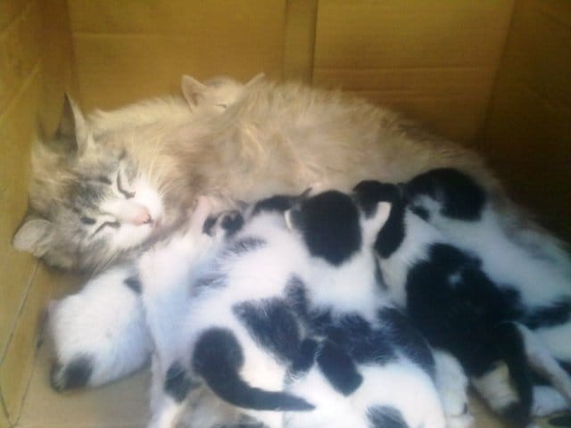 enfin une photo de leo avec ça famille