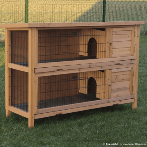 Cage adaptée?
