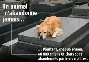 Contre l'abandon!!