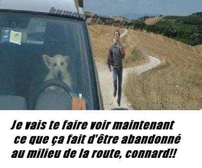 humour et pourtant vrai
