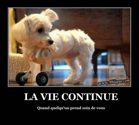tout est possible qd on aime..