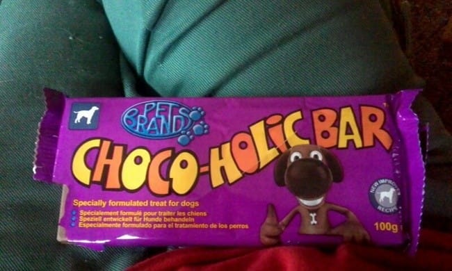 Chocolat pour chien pour ou contre