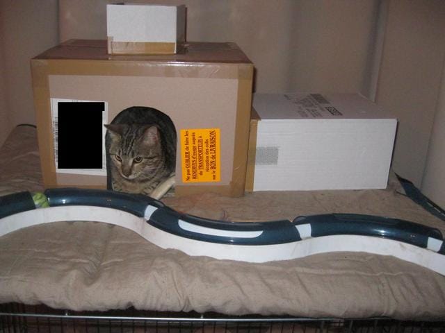 Idées pour décoré une "maison" pour chat en carton ? 