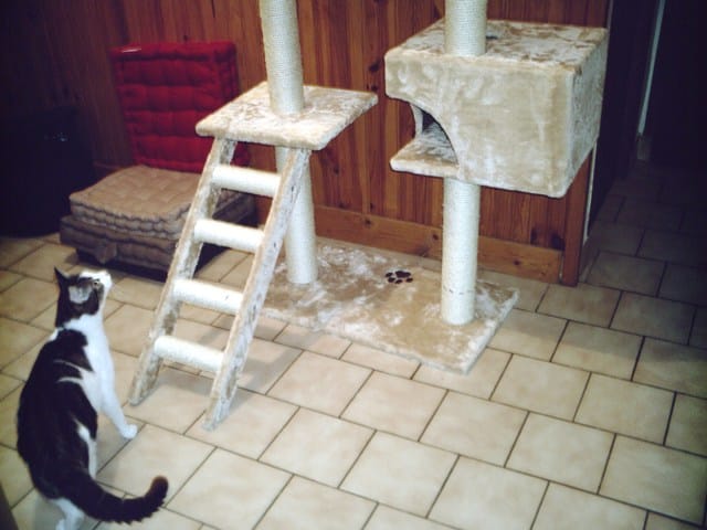 J'ai mon arbre!! :)