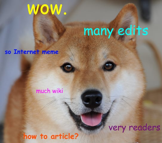 Le Shiba Inu est-il répandu au Québec?
