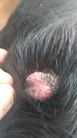 Aidez-moi s'il vous plaît je ne sais pas quoi faire?????