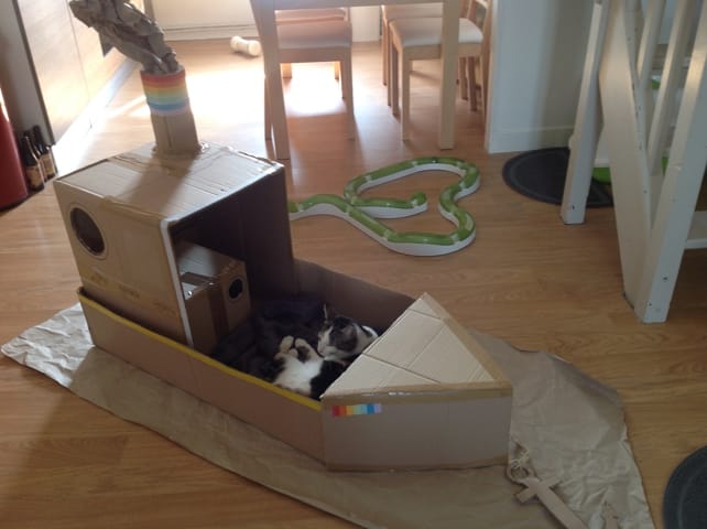 Fabriquer des jeux pour mes chats