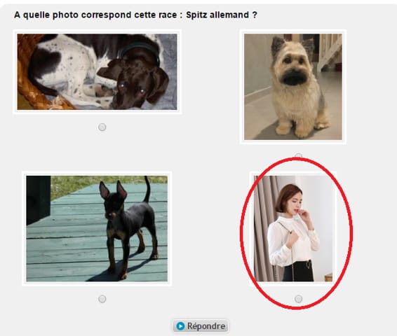 Soucis dans quiz races