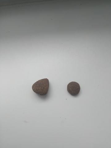 Mon avis sur les croquettes Millies Wolfheart