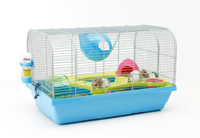 Cage adapté (besoin d'idée pour modifier)