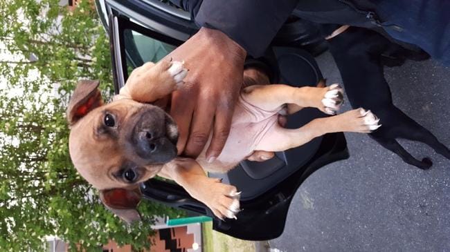 Nouveaux a la maison