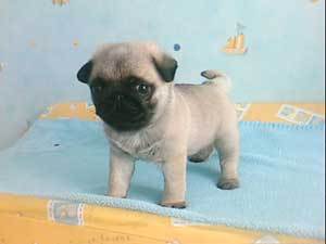 emission "reportages" ce samedi 24 avril