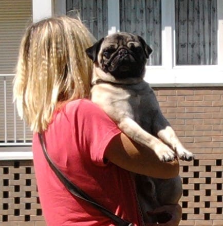 Petite photo de Charly aujourd'hui!