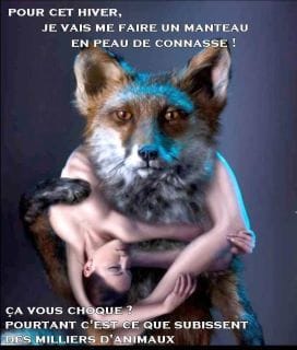 slogan top contre la fourrure!!!