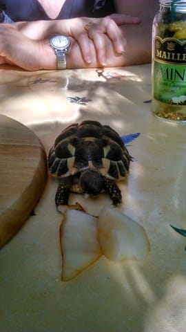 martine pour les intimes CHOUPY