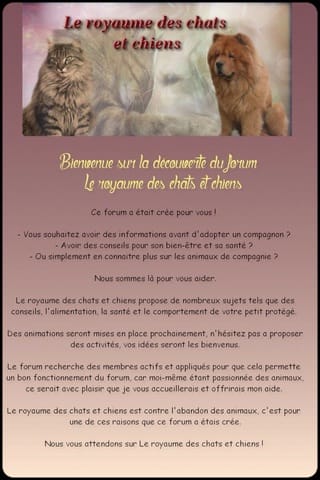 Le royaume des chats et chiens