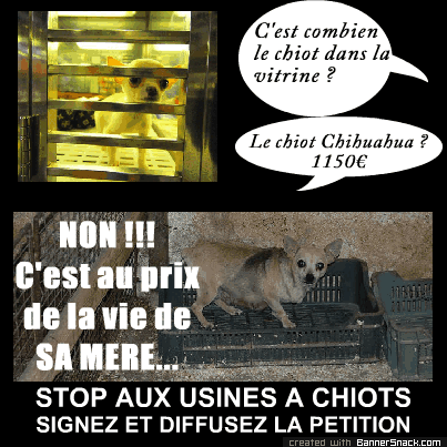 Faire fermer les Usines à chiots
