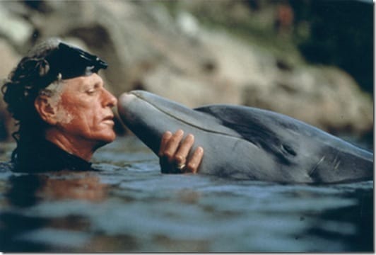 un dauphins heureux et un dauphins libre!!!!