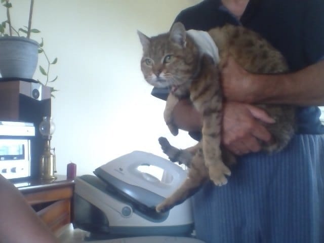 pucine et son cancer 