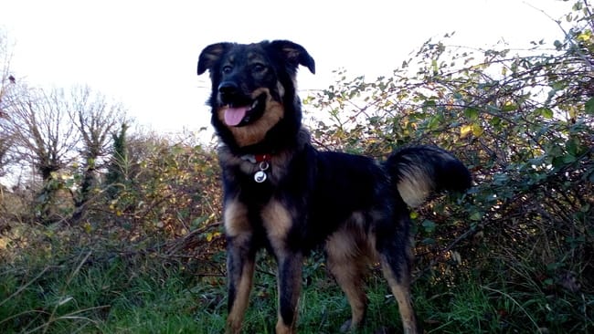 Je ne peux pas sortir, elle casse tout !