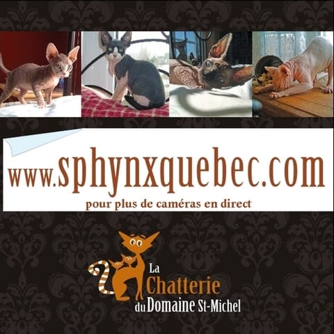 Départ de l'un de mes bébés