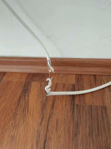 dévoreuse de cables et prises éléctriques...