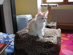 Keïra est arrivé !