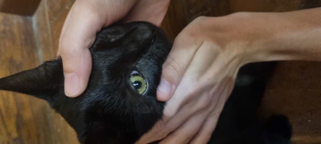 Œil fermé : que faire ? (Photo)