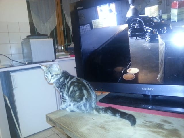 Besoin d'avis