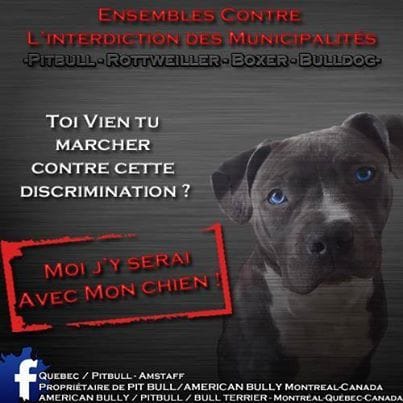 des affiches qui en disent long sur la réalité de leur vie