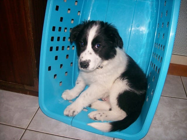 Association dans le 86