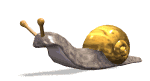 La limace et l'escargot