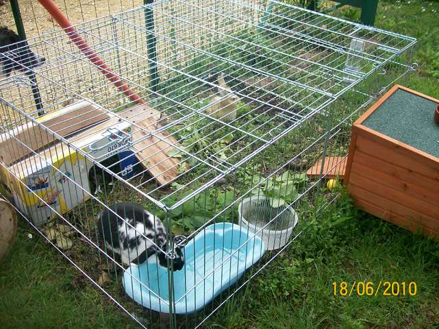 Photos des maisons de nos lapins