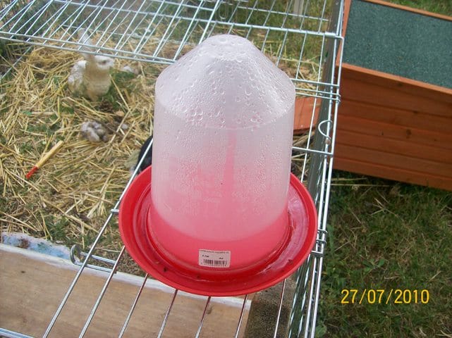 Idée pour enclos lapin