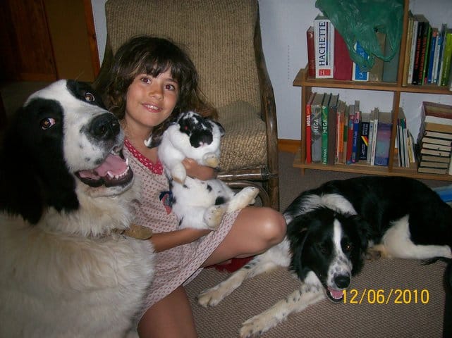 Chien et personnes agées