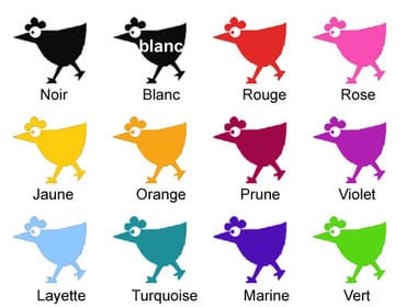 Poulailler et poules 